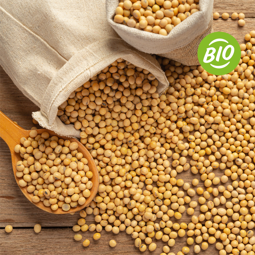 Soja-BIO